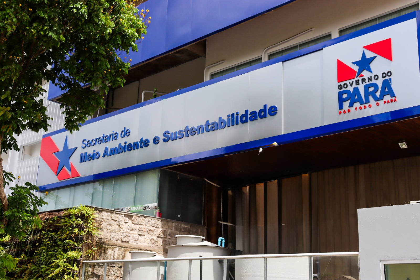 Uma floresta com um rio